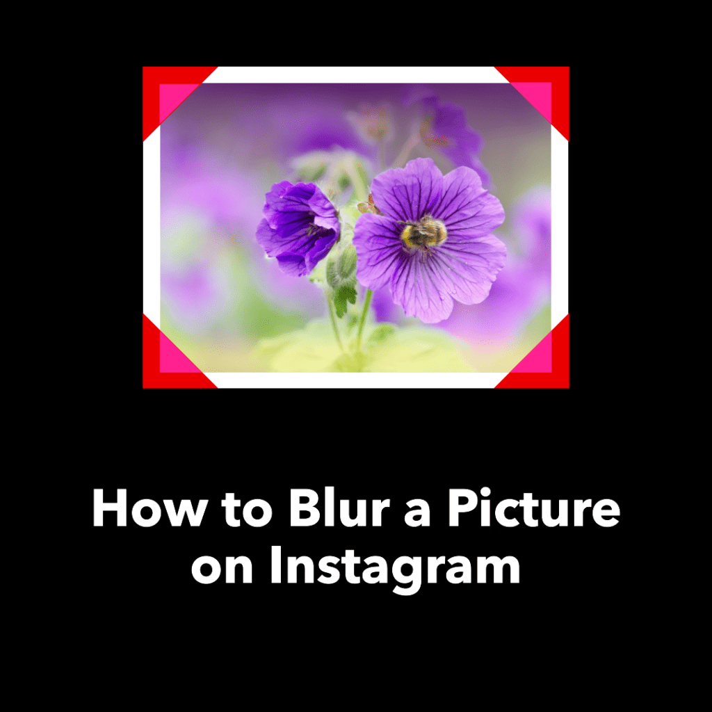 How to Blur a Picture on Instagram